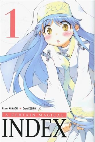 A certain magical index, t1