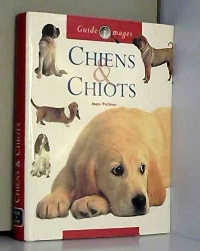 Chiens & chiots