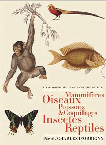Les Planches du "Dictionnaire d'histoire naturelle"